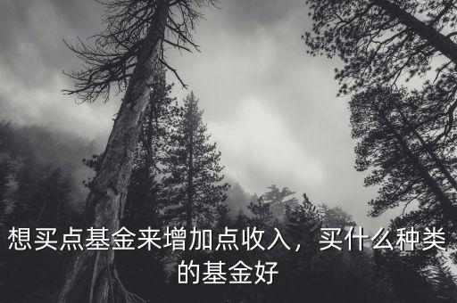 買基金買什么穩定,買什么種類的基金好