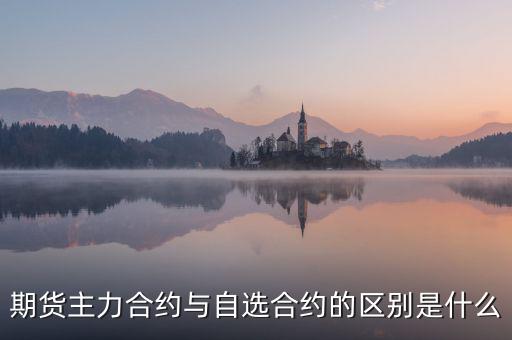 期貨主力合約與自選合約的區別是什么