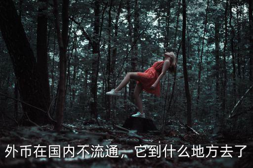 外幣在國內不流通，它到什么地方去了