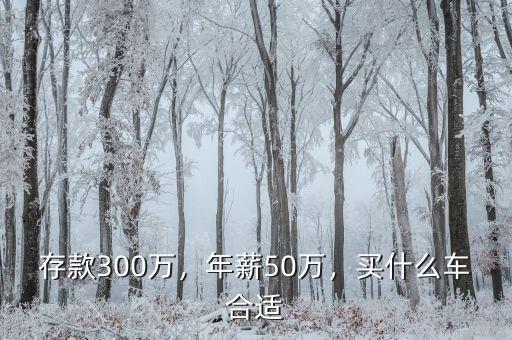存款300萬，年薪50萬，買什么車合適
