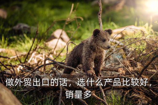 2015年后什么產品好出口,選什么產品比較好
