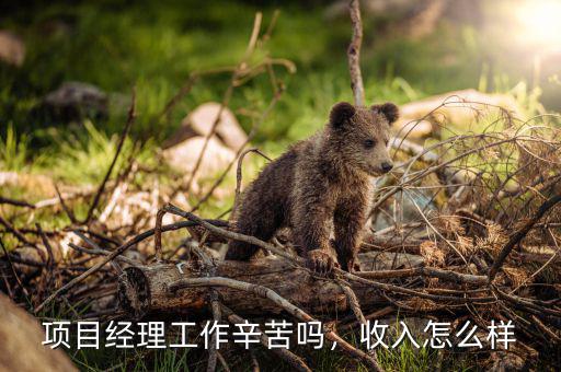 項目經理工作辛苦嗎，收入怎么樣