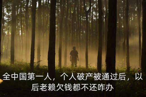 全中國第一人，個人破產被通過后，以后老賴欠錢都不還咋辦