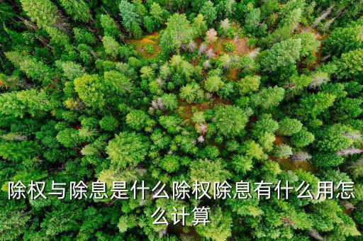 除權除息后的收益率怎么算,除權除息有什么用