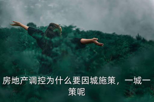 為什么會有房地產調控,房地產調控為什么要因城施策