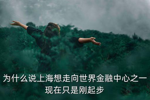 為什么說上海想走向世界金融中心之一現在只是剛起步