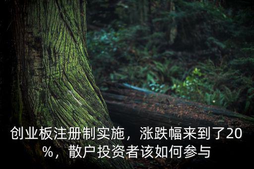 創(chuàng)業(yè)板注冊(cè)制實(shí)施，漲跌幅來到了20%，散戶投資者該如何參與