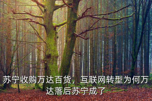 蘇寧收購萬達百貨，互聯網轉型為何萬達落后蘇寧成了