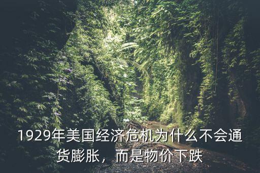 1929年美國經(jīng)濟危機為什么不會通貨膨脹，而是物價下跌