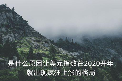 是什么原因讓美元指數在2020開年就出現瘋狂上漲的格局