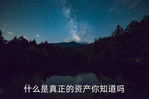 什么是真正的資產你知道嗎
