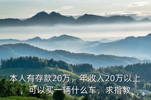 本人有存款20萬，年收入20萬以上，可以買一輛什么車，求指教