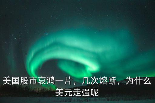 美國股市哀鴻一片，幾次熔斷，為什么美元走強呢