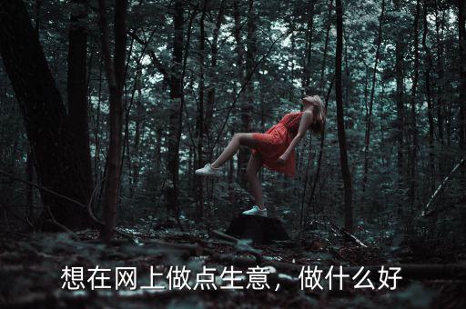 想在網上做點生意，做什么好