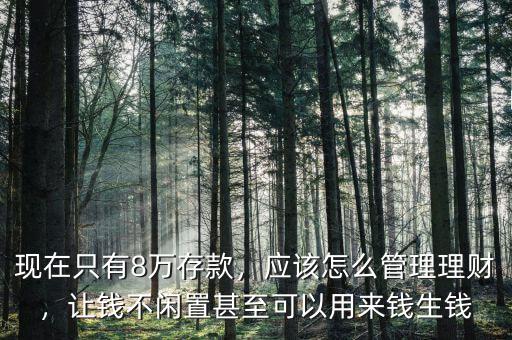 現在只有8萬存款，應該怎么管理理財，讓錢不閑置甚至可以用來錢生錢