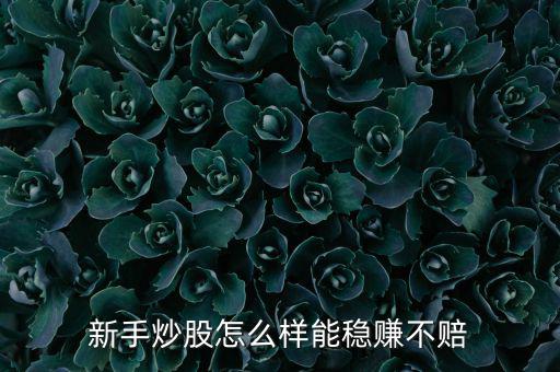 新手炒股怎么樣能穩賺不賠