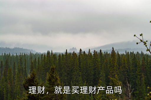 為什么要買理財產品,就是買理財產品嗎