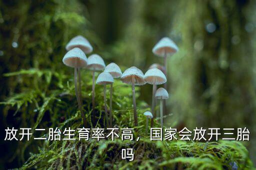 放開二胎生育率不高，國家會放開三胎嗎