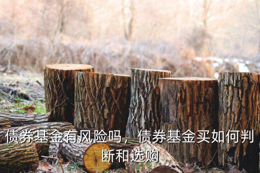 債券基金有風險嗎，債券基金買如何判斷和選購