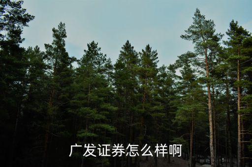 廣發證券怎么樣啊