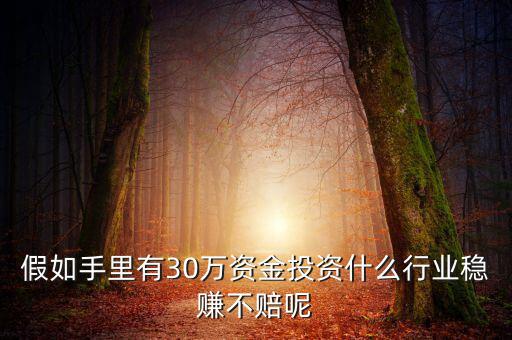 假如手里有30萬資金投資什么行業穩賺不賠呢