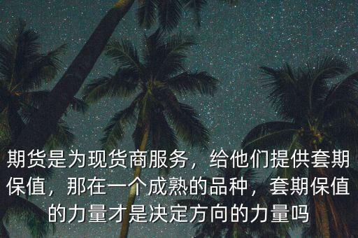 什么是金融期貨的套期保值功能,期貨是為現貨商服務