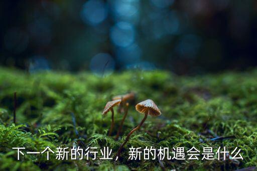 下一個新的行業，新的機遇會是什么