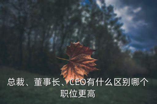 總裁、董事長、CEO有什么區別哪個職位更高