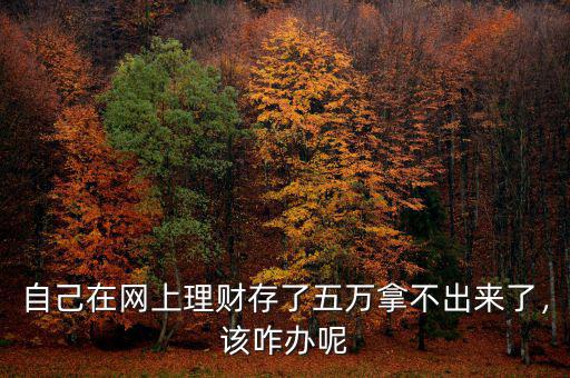 自己在網上理財存了五萬拿不出來了，該咋辦呢