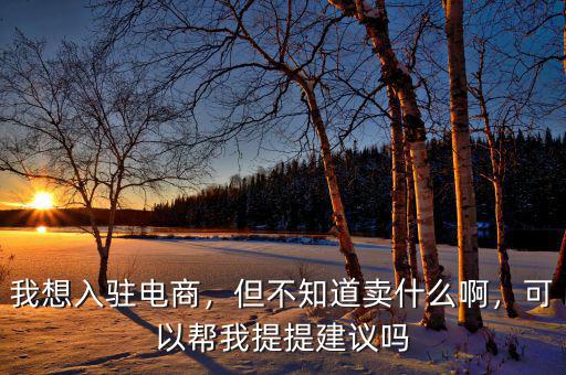 我想入駐電商，但不知道賣什么啊，可以幫我提提建議嗎