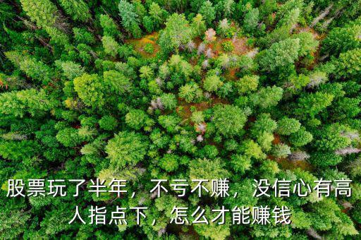股票玩了半年，不虧不賺，沒信心有高人指點下，怎么才能賺錢