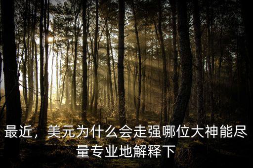 最近，美元為什么會走強哪位大神能盡量專業地解釋下