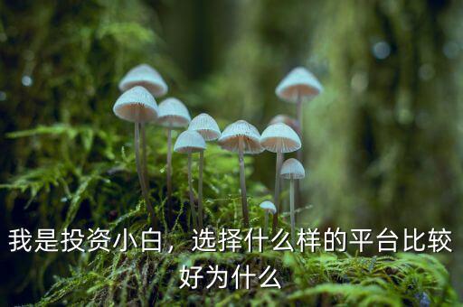 網上投資什么比較好,選擇什么樣的平臺比較好