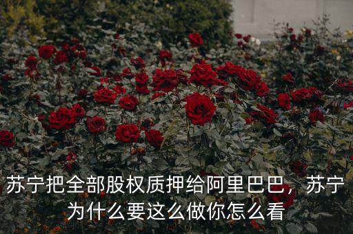蘇寧把全部股權質押給阿里巴巴，蘇寧為什么要這么做你怎么看