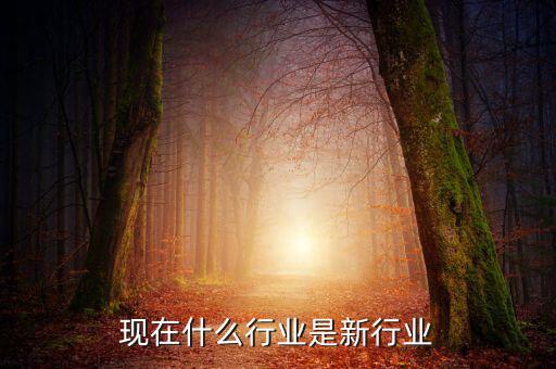 還有什么新的行業,下一個新的行業