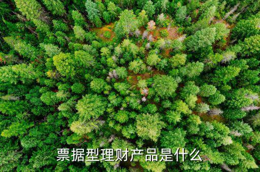 票據型理財產品是什么