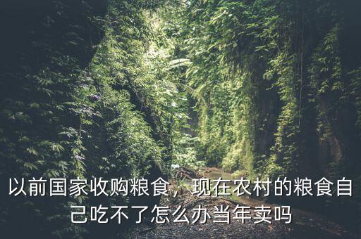 以前國家收購糧食，現在農村的糧食自己吃不了怎么辦當年賣嗎