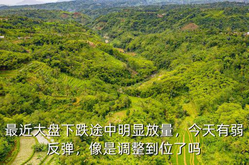 最近大盤下跌途中明顯放量，今天有弱反彈，像是調整到位了嗎