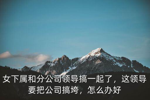 女下屬和分公司領導搞一起了，這領導要把公司搞垮，怎么辦好