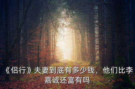 《侶行》夫妻到底有多少錢，他們比李嘉誠還富有嗎