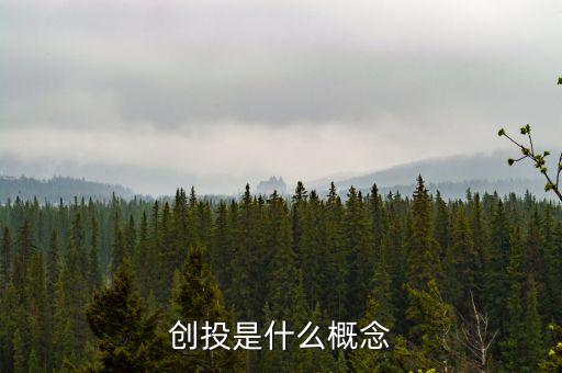 盛世創投收益是多少,創投是什么概念
