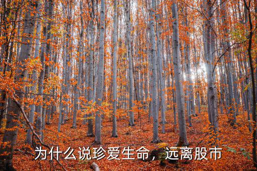 為什么說珍愛生命，遠離股市