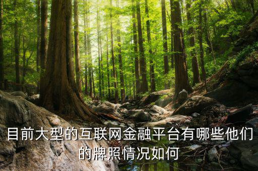 互聯網金融牌照是什么,他們的牌照情況如何
