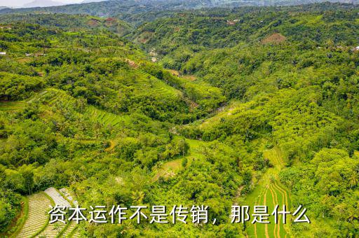 資本運作不是傳銷，那是什么