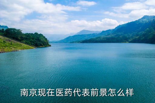 南京現在醫藥代表前景怎么樣