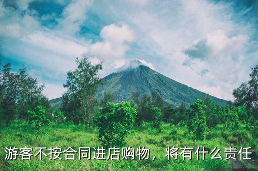 游客不按合同進店購物，將有什么責任