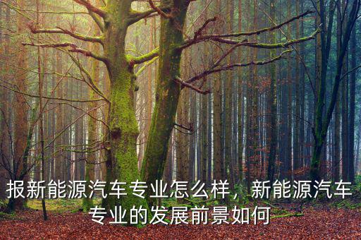 美克新能源怎么樣,新能源汽車維修專業怎么樣