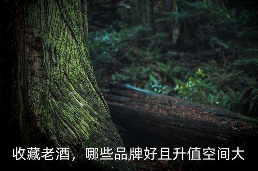 收藏老酒，哪些品牌好且升值空間大