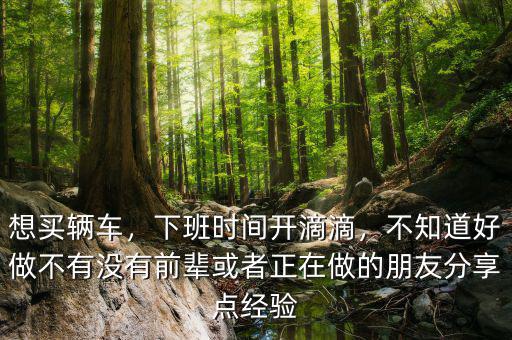 想買輛車，下班時間開滴滴，不知道好做不有沒有前輩或者正在做的朋友分享點經(jīng)驗