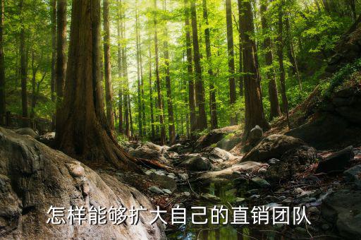 東阿直銷團隊怎么樣,直銷管理如何做好團隊發展